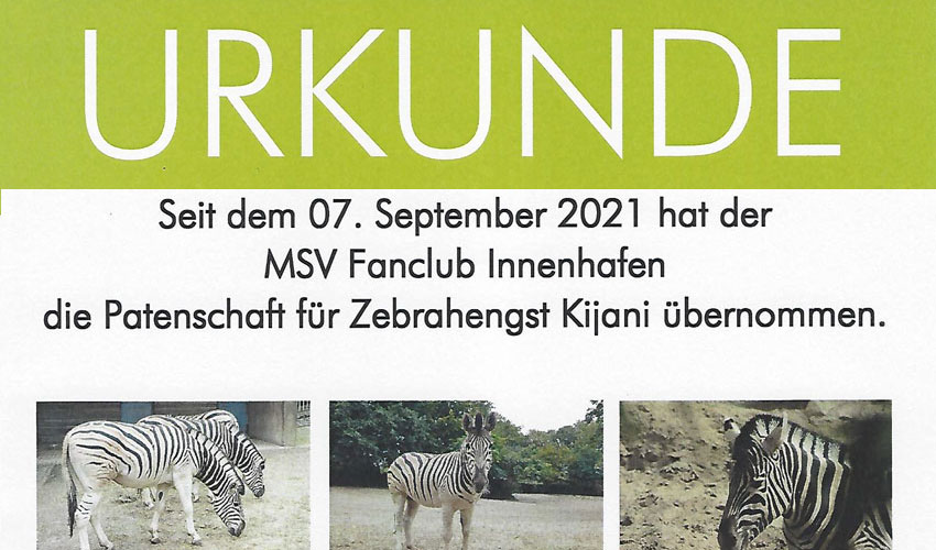 Urkunde Zoo Tierpartenschaft (Anschnitt)